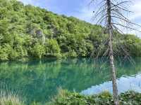 【クロアチアの絶景スポット🌎🇭🇷】プリトヴィツェ湖群国立公園