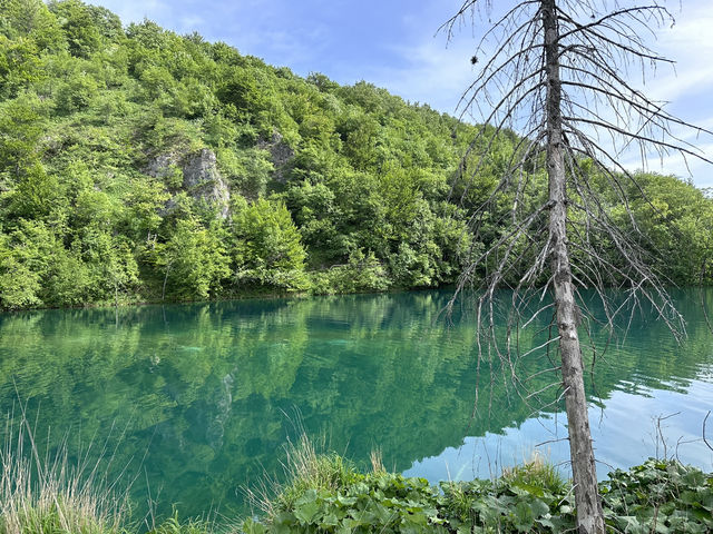 【クロアチアの絶景スポット🌎🇭🇷】プリトヴィツェ湖群国立公園