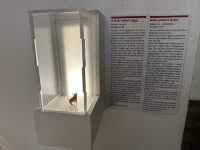 【Museum of Broken Relationships｜失恋の博物館】 世界で唯一？“別れ”をテーマにした博物館