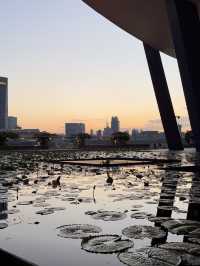 Marina Bay at Dusk: A Peaceful Evening Path with City Views