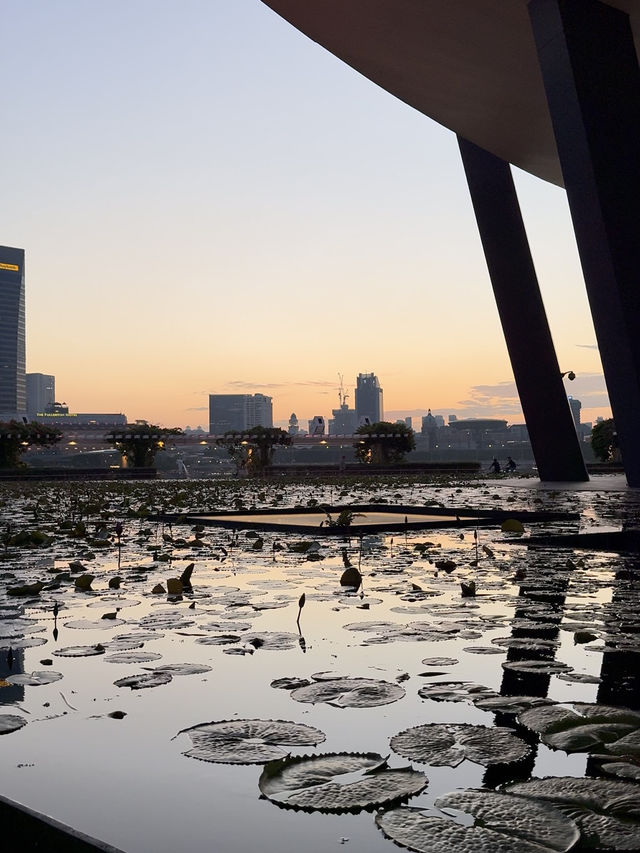 Marina Bay at Dusk: A Peaceful Evening Path with City Views