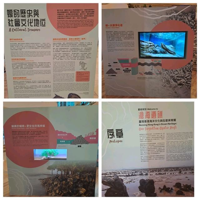 滄海遺礁展覽參觀的個人感受