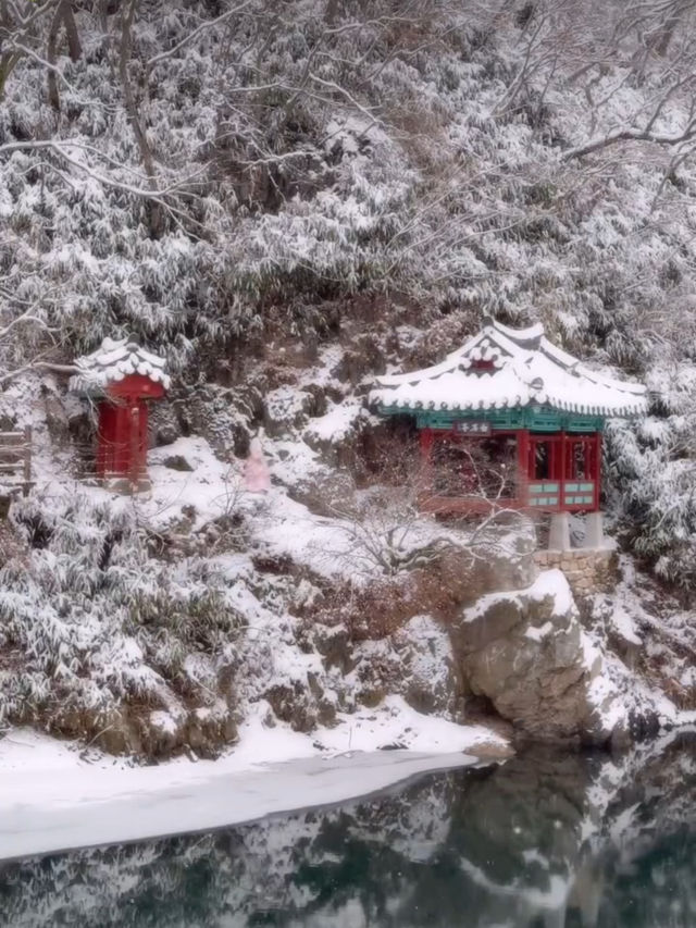 하얀 눈 가득 내려 절경을 이루는 청주 백석정❄️🩵
