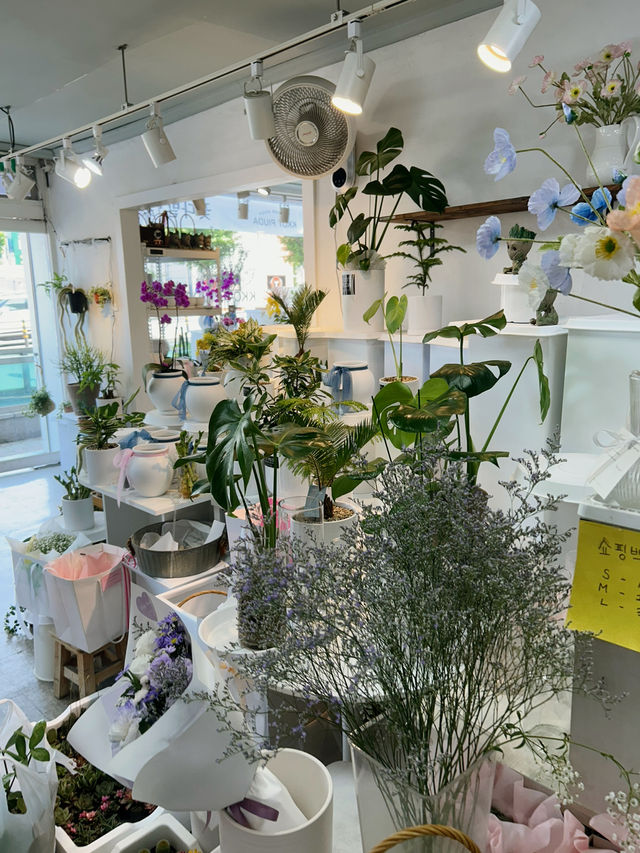 💐 꽃처럼 피어나는 아름다움, 꽃피우다