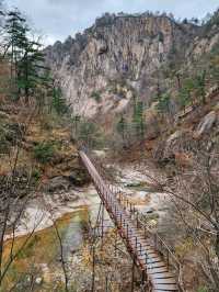 Zen Vibes and Mountain Vibes at Baekdamsa