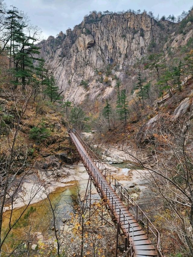 Zen Vibes and Mountain Vibes at Baekdamsa