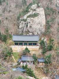 Zen Vibes and Mountain Vibes at Baekdamsa