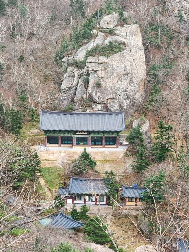Zen Vibes and Mountain Vibes at Baekdamsa