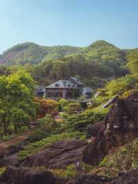 이국적인 풍경을 볼 수 있는“수생식물학습원”