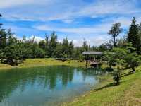 恍如仙境的台東森林公園琵琶湖