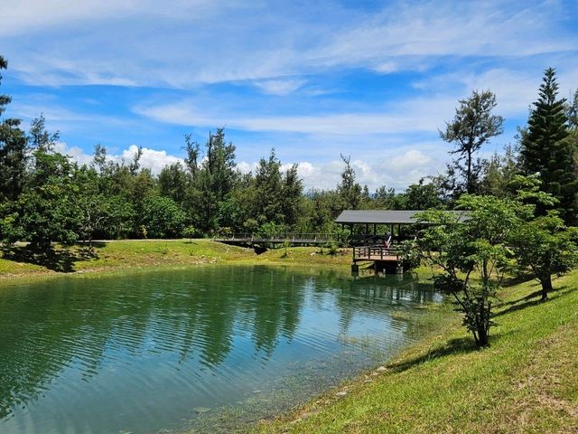 恍如仙境的台東森林公園琵琶湖