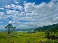 Coromandel Peninsula