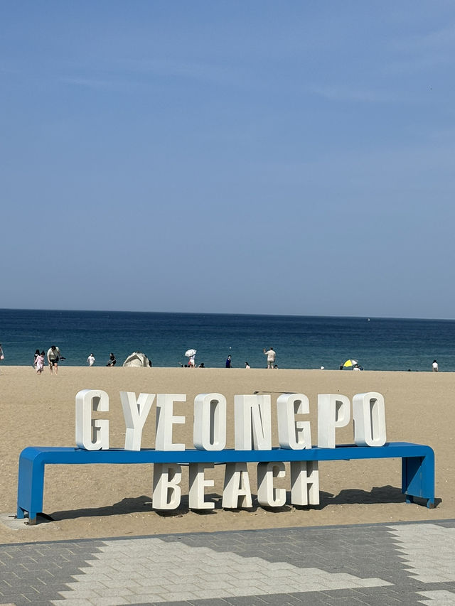 경포해변가자!!