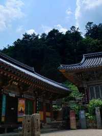 연화산 자락의 사찰 데이트