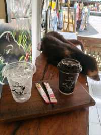 🇮🇩Have you tried Civet Poop Coffee?💩Luwak Coffee