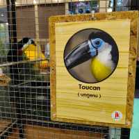 พามาชมงาน Westville Bird Paradise 