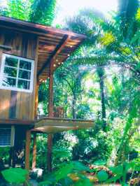 🌿☁️ บ้านไร่ไออรุณ…ระนอง