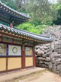 고요한 하루, 밀양 사찰 여행 🌿🛕