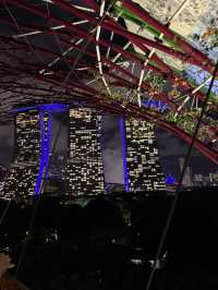 Northern lights in Singapore !