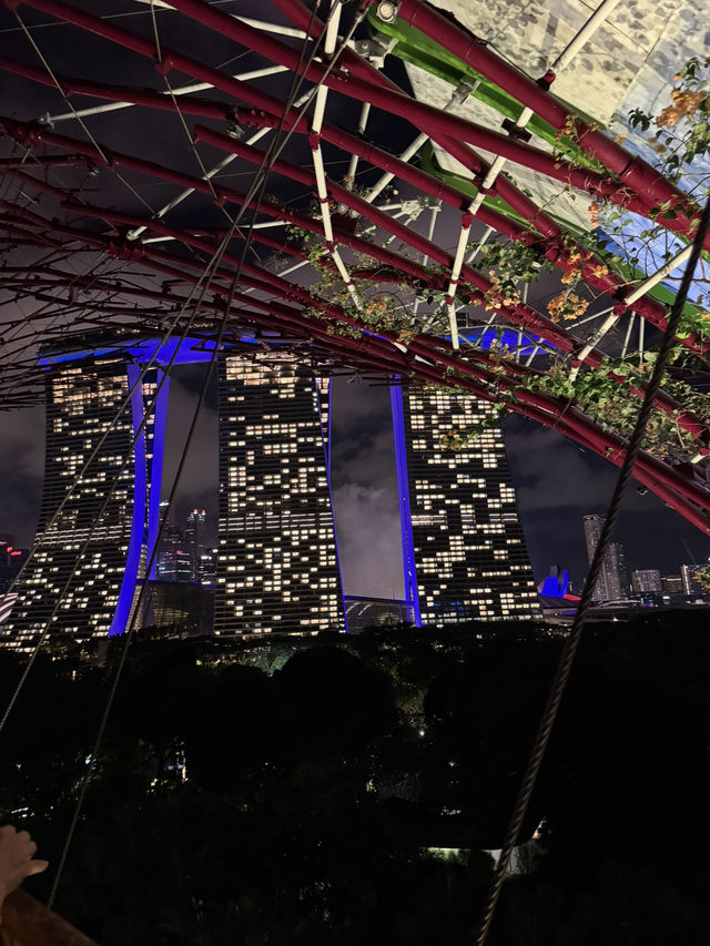 Northern lights in Singapore !