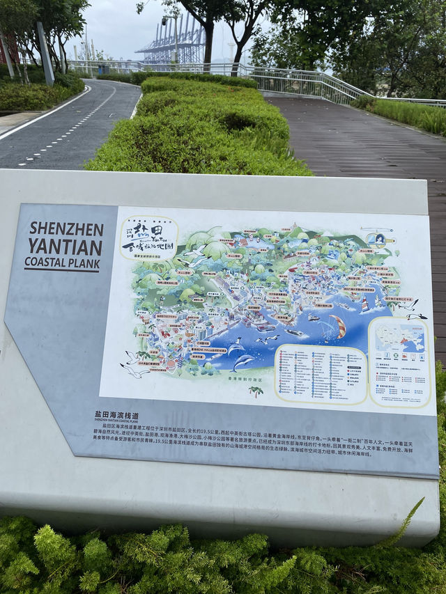 在這兒看海，看大梅沙海濱棧道，原來也很美🤩🤩