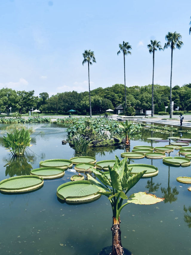 When in Tsurumi Ryokuchi Park