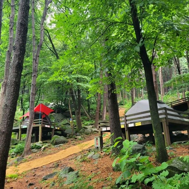 Forest Feels & Quiet Trails, Chukryeongsan Escape