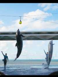 海と語らう場所。うみがたりで出会う、静かな感動🐬