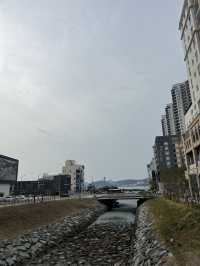 🌅 รีวิว Le Collective Yeosu