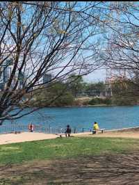 🏞️【漢江公園（Hangang Park）】ソウルの風を感じる川辺のオアシス