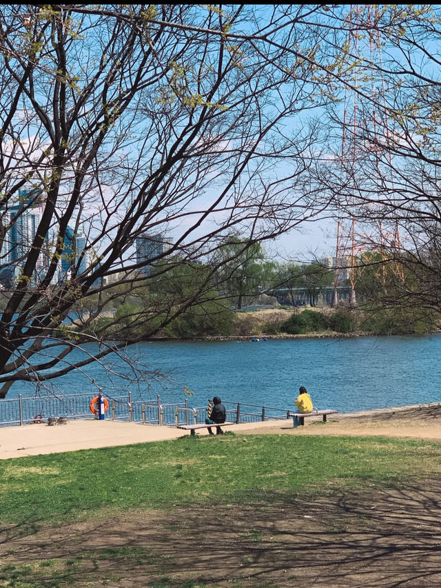 🏞️【漢江公園（Hangang Park）】ソウルの風を感じる川辺のオアシス