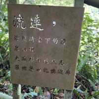 清泉步道休閒走