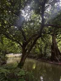อุทยานแห่ฃชาติ จ.กระบี่