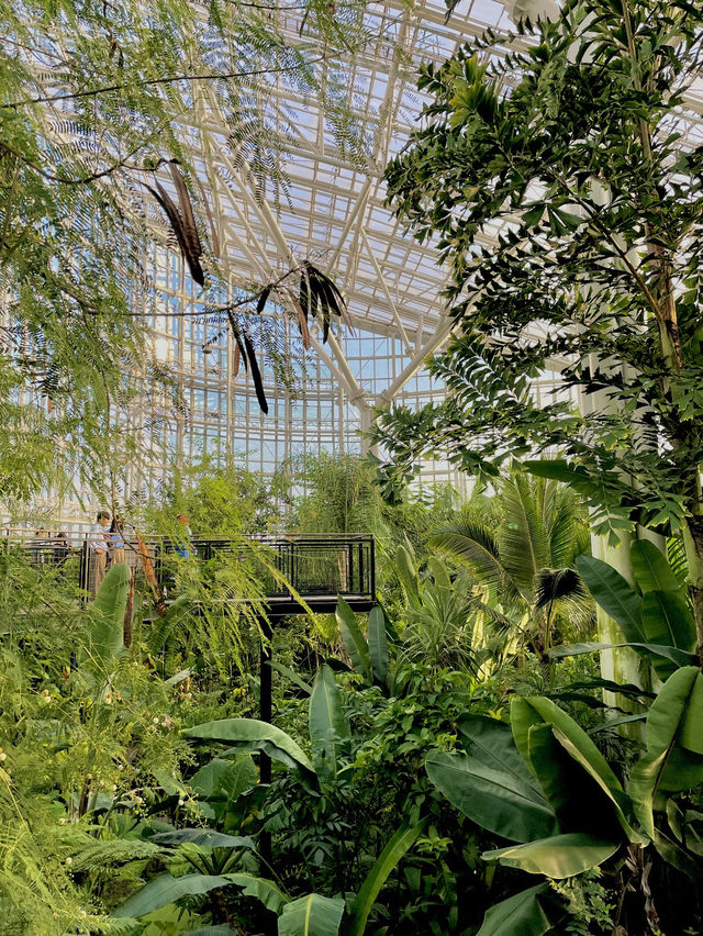 가성비 최고! 세종수목원에서 힐링 제대로 했어요🌿