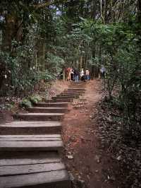 Kew Mae Pan, Chiang Mai: A Trail Through Heaven’s Edge 🚶‍➡️🚶‍♀️‍➡️