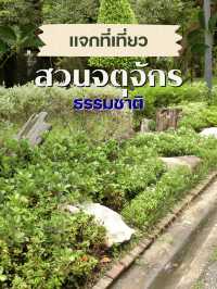 สวนจตุจักร – เดินเล่น เดินช้อป เดินเพลินไม่มีเบื่อ