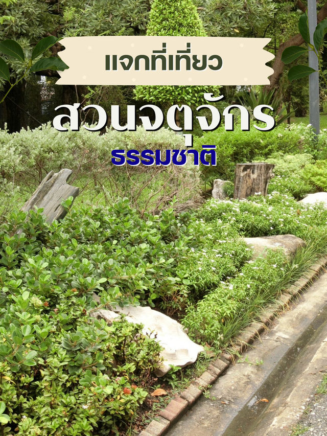 สวนจตุจักร – เดินเล่น เดินช้อป เดินเพลินไม่มีเบื่อ