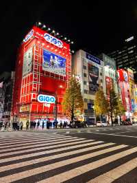 5 Epic Days in Tokyo Your Anime-Loving Kids Will Never Forget!