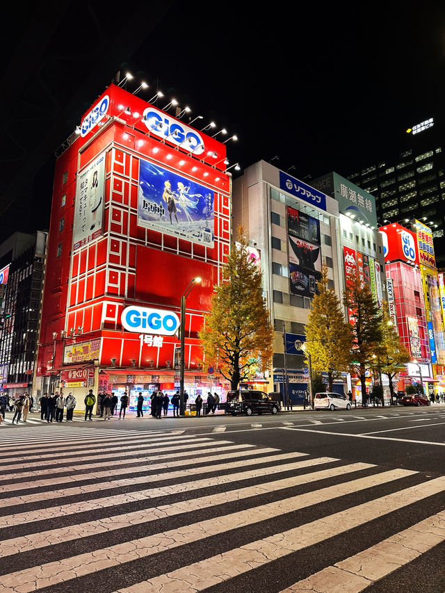 5 Epic Days in Tokyo Your Anime-Loving Kids Will Never Forget!