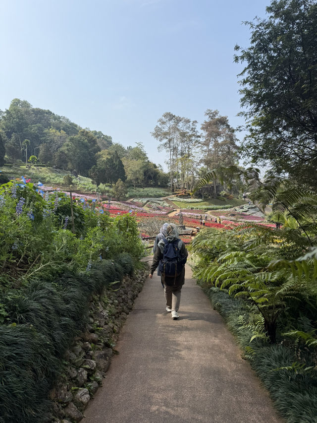 สวนดอกไม้แม่ฟ้าหลวง