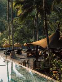野奢BaLi