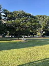 🌴達爾文市區小眾一日遊｜沒人搶拍的港口城市風，漫步立法廳、公園、海灘與老街🌊🌿