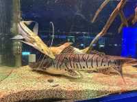 屏東｜觀賞水族展示廳·農業生物科技園區