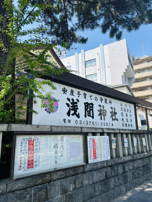 大森🇯🇵浅間神社は安産・子育ての守護神⛩️⟡.·