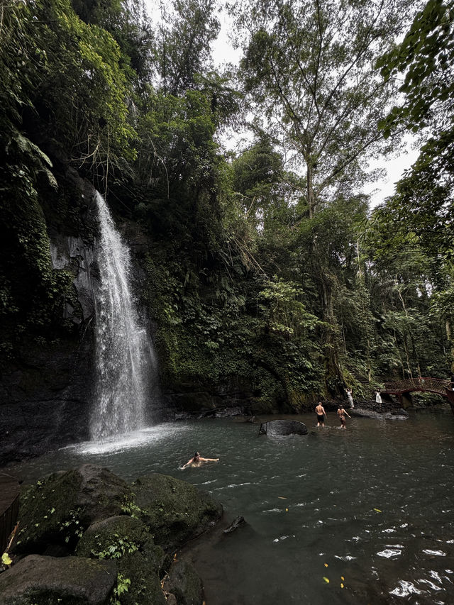 A must visit in bali! Beautiful waterfall 😍😍