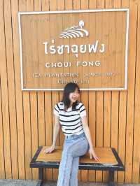 ไร่ชาฉุยฟง  บรรยกาศดีมาก จังหวุดเชียงราย