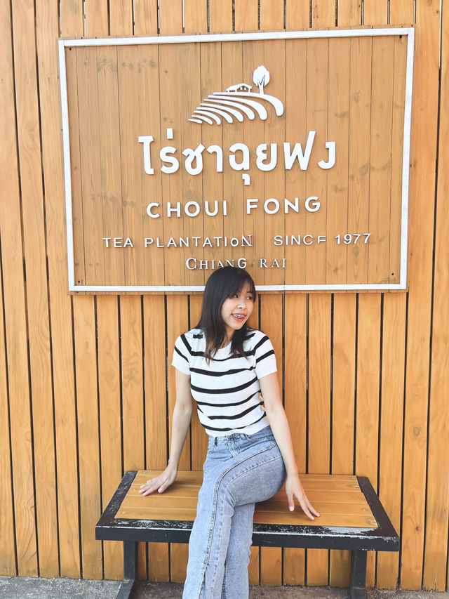 ไร่ชาฉุยฟง  บรรยกาศดีมาก จังหวุดเชียงราย