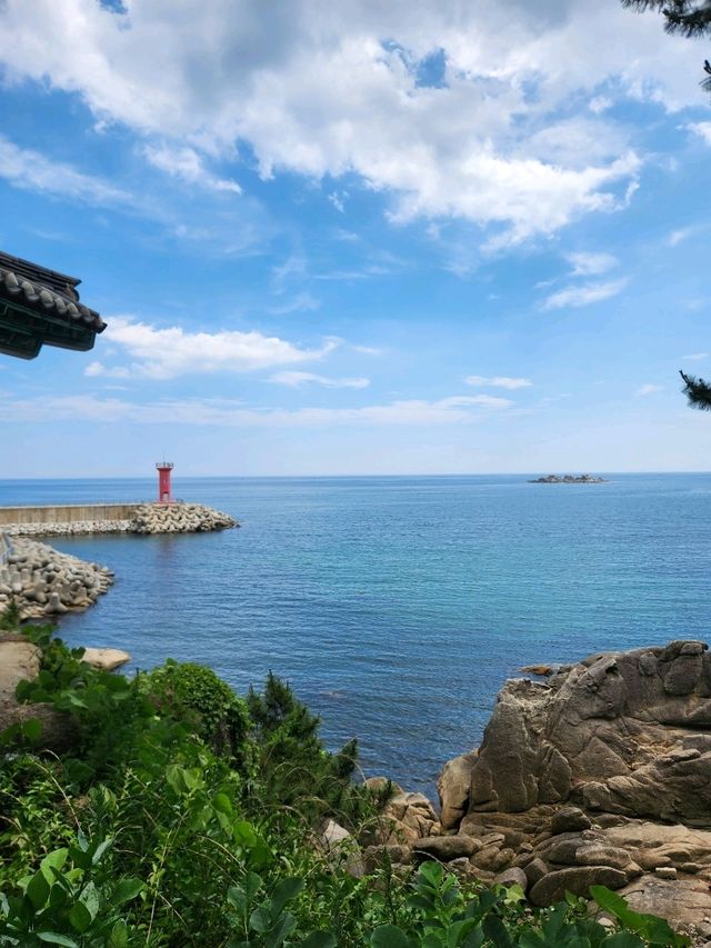 💖동해바다 풍경으로 속이 뻥 뚫리는 강원도고성 "천학정"💖