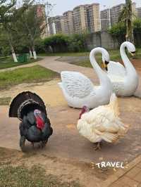 Have a fun day in this farm !! Carybaras, Alphaca!