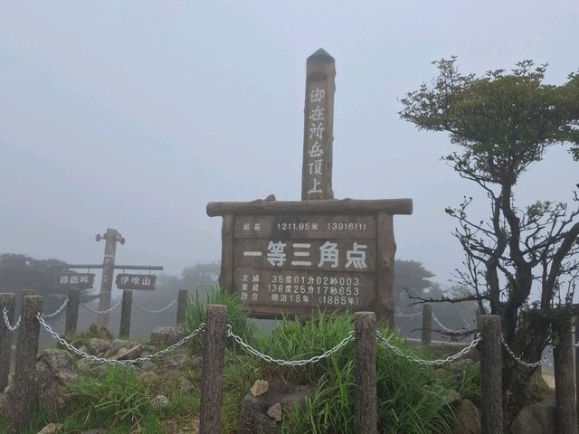 三重山頂秘境！絕美公園四季皆風景！
